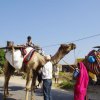 Urlaub in Indien 2016